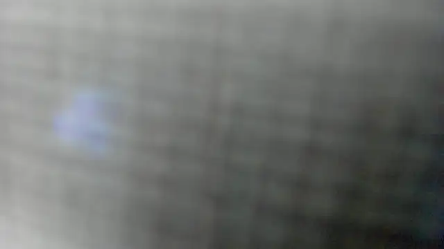 AishaRouhi online show from 4, 2, 2026