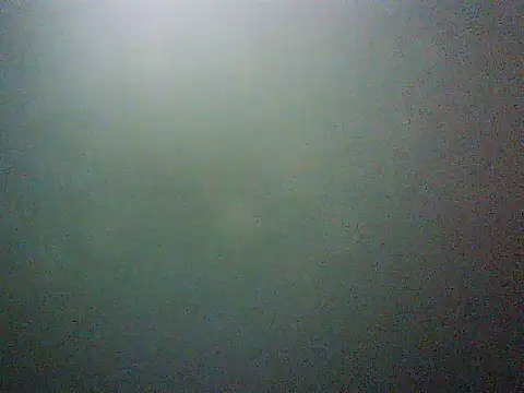 mumbi91 online show from 11, 3, 2025