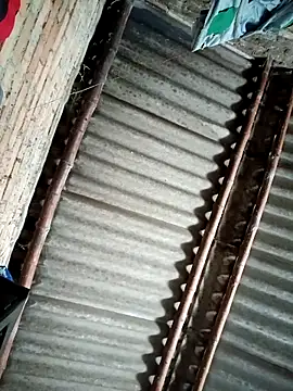 Lukas strong online show from 8, 9, 2025