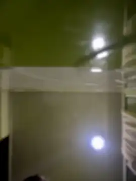 Emiily lee online show from 14, 4, 2026