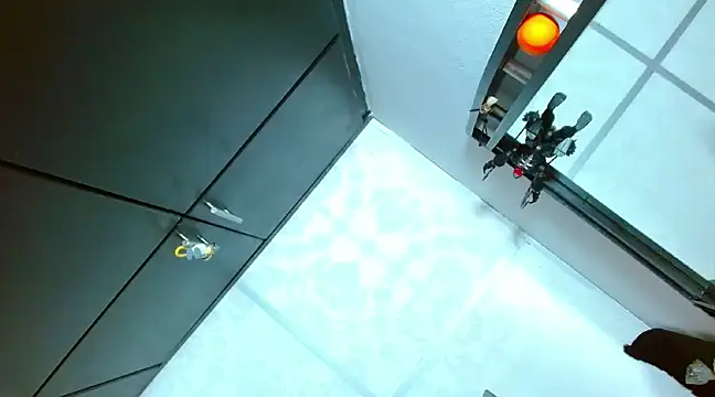 Michaell Myerss  online show from 25, 2, 2025