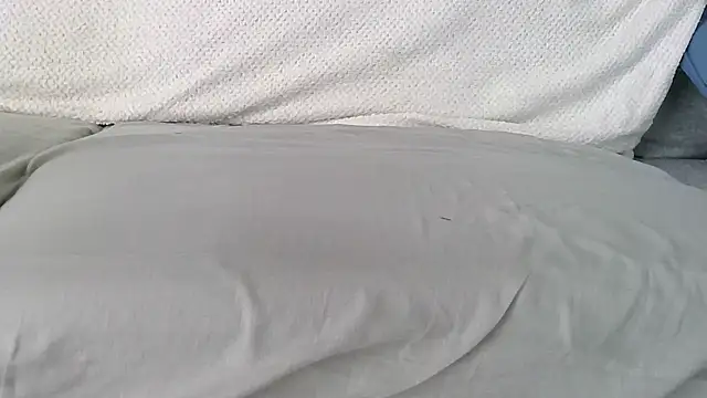 petardroutier online show from 7, 11, 2025