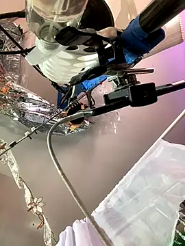 gurlnips online show from 26, 11, 2025