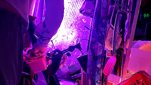 gurlnips online show from 11, 3, 2026