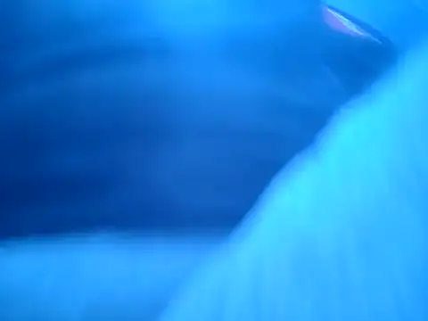 ILUV2TUCHMYKITTY online show from 18, 11, 2025