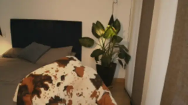 pansuggarofficial online show from 19, 12, 2025