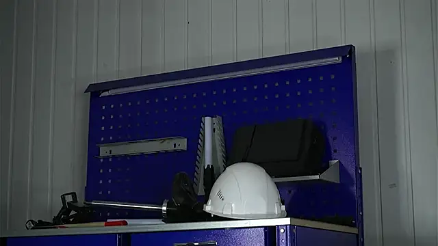 dustyn fox online show from 27, 2, 2026