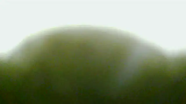 Jennys room 77 online show from 16, 11, 2025