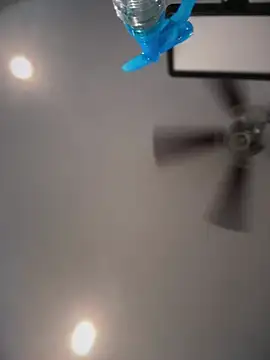 ThicBunz online show from 10, 4, 2026