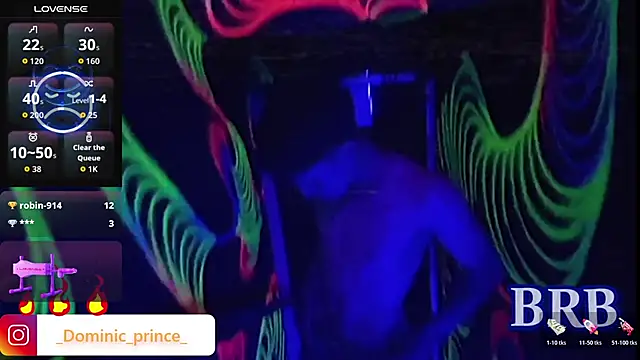 Snapshot of DominicPrince chatting on 13, 1, 2026 DominicPrince online show from 13, 1, 2026