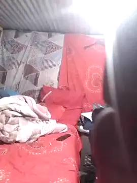 DigCrok online show from 8, 12, 2024