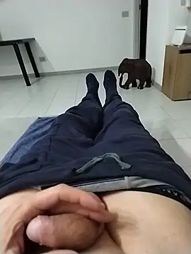 Meriozoro online show from 13, 3, 2026