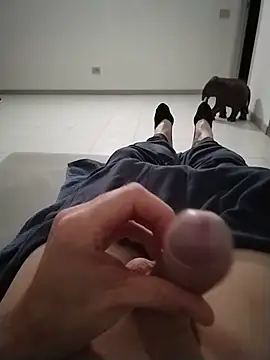 Meriozoro online show from 8, 4, 2026