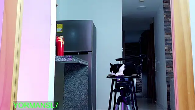 zaiin diesel online show from 26, 11, 2025