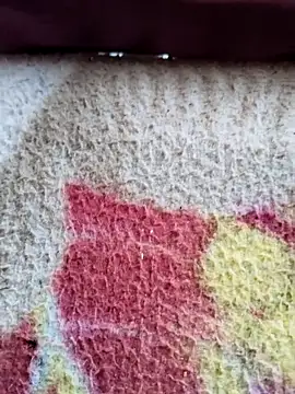 MAN MOHINI 21 online show from 12, 3, 2025