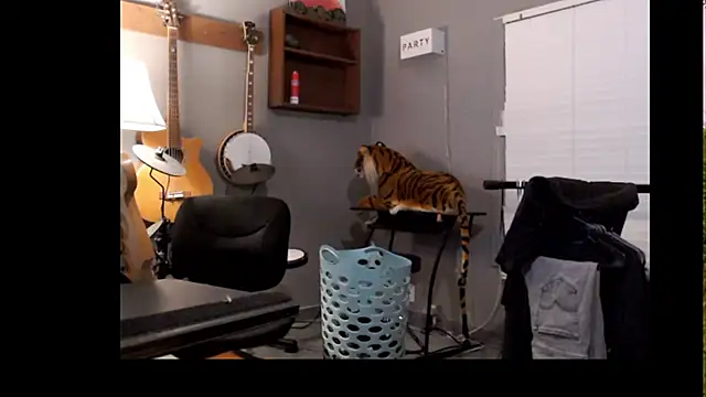 itsjameswebbscope online show from 3, 4, 2026