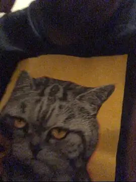 Jasontv56 online show from 17, 12, 2025