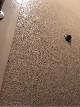 Jasontv56 online show from 13, 11, 2025