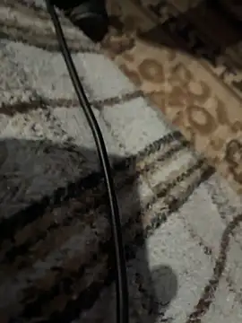 BringBackLostLover online show from 1, 12, 2025