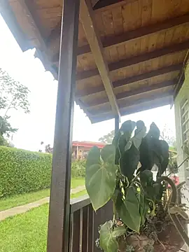 SAMUEL OBRIAN online show from 22, 3, 2025