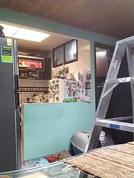 horfet online show from 14, 10, 2025