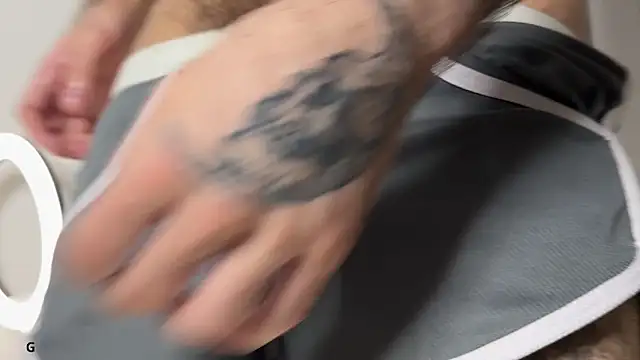 xteddy bear online show from 17, 12, 2025