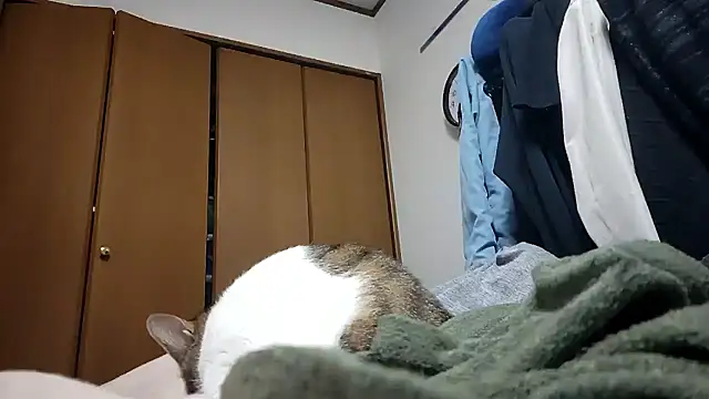 07YUKIO online show from 24, 4, 2026