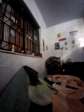 Snapshot of Zenfox24 chatting on 20, 2, 2026 Zenfox24 online show from 20, 2, 2026