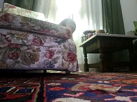 stavroun online show from 6, 11, 2025