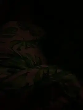 Snapshot of smithrosinha chatting on 11, 2, 2025 smithrosinha online show from 11, 2, 2025