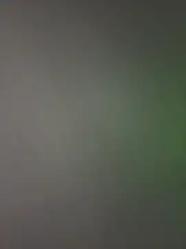 palomamoraid online show from 20, 12, 2024