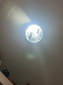 palomamoraid online show from 21, 12, 2024