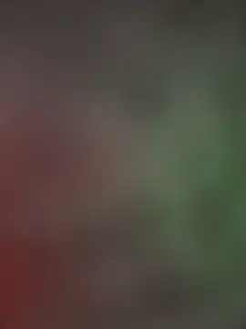 palomamoraid online show from 13, 1, 2025