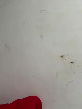 palomamoraid online show from 17, 2, 2025