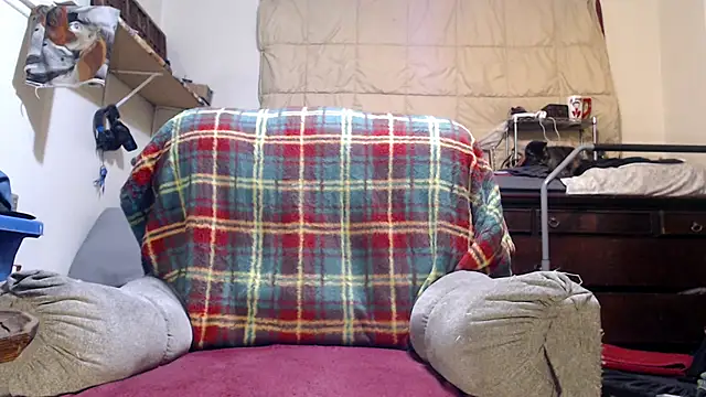 ladyscarlotta online show from 3, 10, 2025