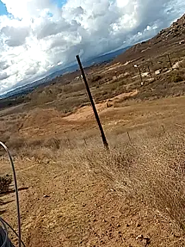 luke thighwalker2469 online show from 6, 2, 2025