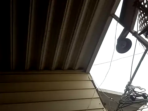 luke thighwalker2469 online show from 19, 9, 2025