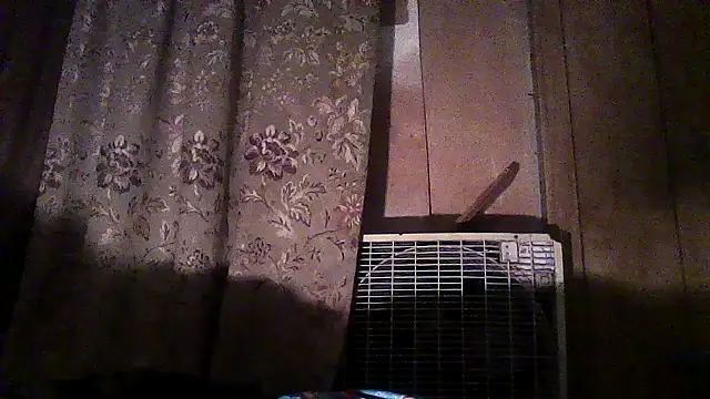 Snapshot of luke_thighwalker2469 chatting on 2, 12, 2025 luke thighwalker2469 online show from 2, 12, 2025