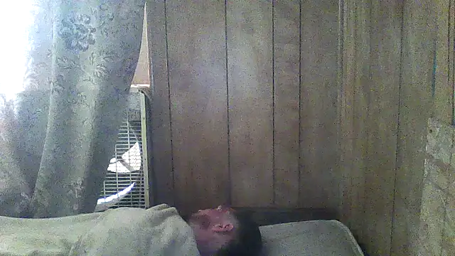 luke thighwalker2469 online show from 5, 3, 2026