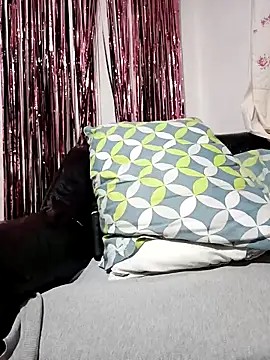 Joagorditahot online show from 8, 11, 2025