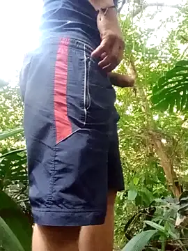 mis312 online show from 28, 9, 2025