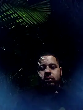 mis312 online show from 15, 4, 2026