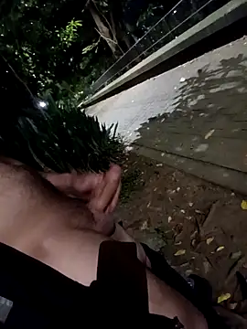 mis312 online show from 28, 2, 2026