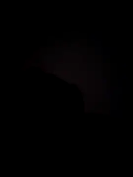 Chelinquis online show from 27, 11, 2025