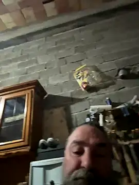 ros217 online show from 23, 11, 2025