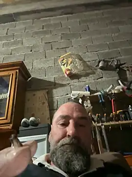 ros217 online show from 14, 11, 2025