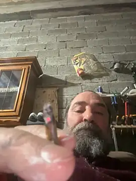 ros217 online show from 4, 11, 2025