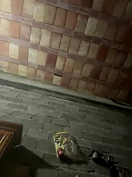 Snapshot of ros217 chatting on 5, 1, 2026 ros217 online show from 5, 1, 2026