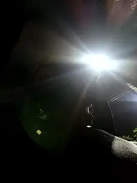 Siriss boyrag online show from 24, 3, 2026