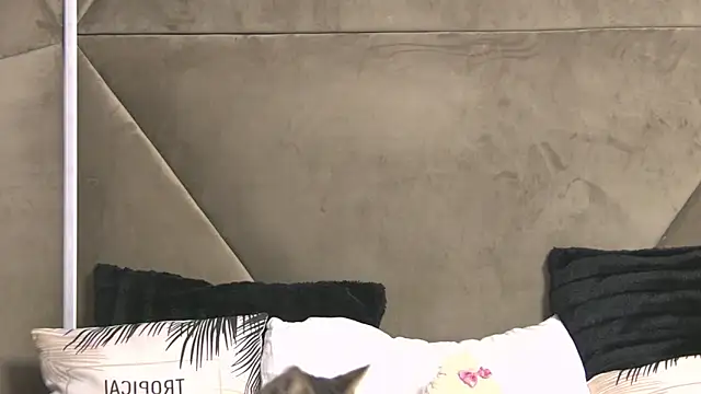 AishaHummer online show from 30, 9, 2025